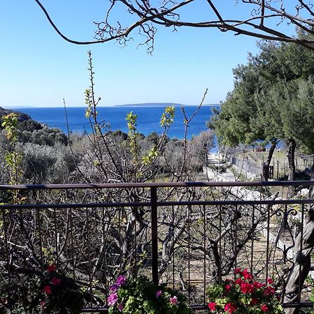 Apartments Mary Miholascica Εξωτερικό φωτογραφία