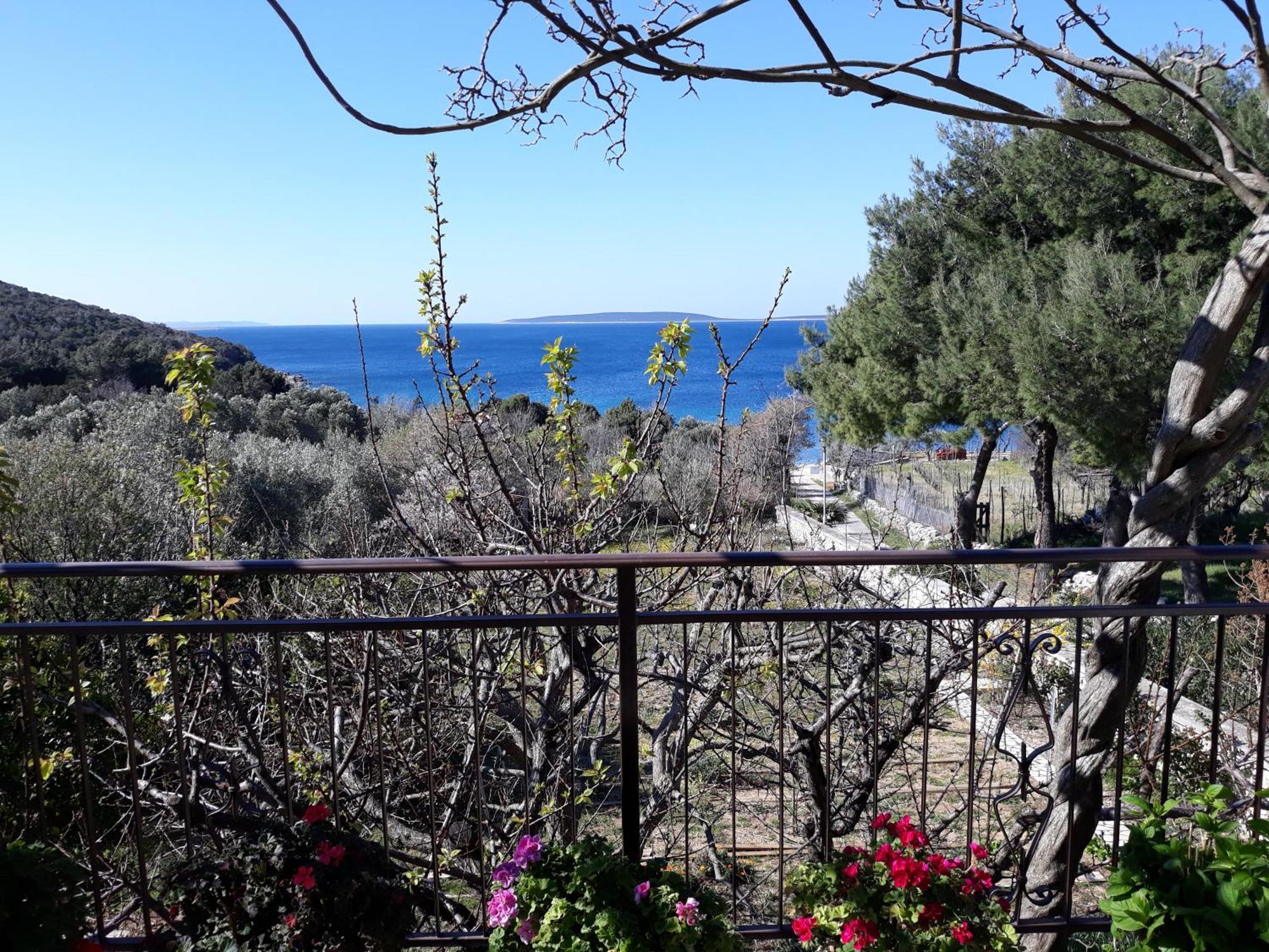 Apartments Mary Miholascica Εξωτερικό φωτογραφία