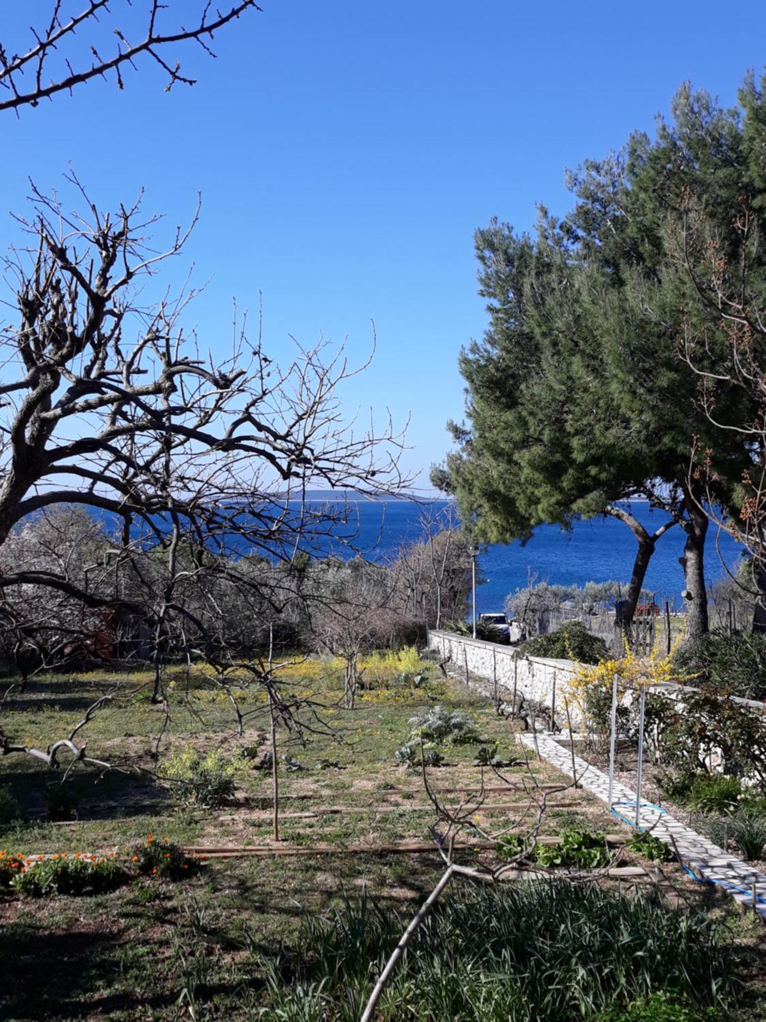 Apartments Mary Miholascica Εξωτερικό φωτογραφία